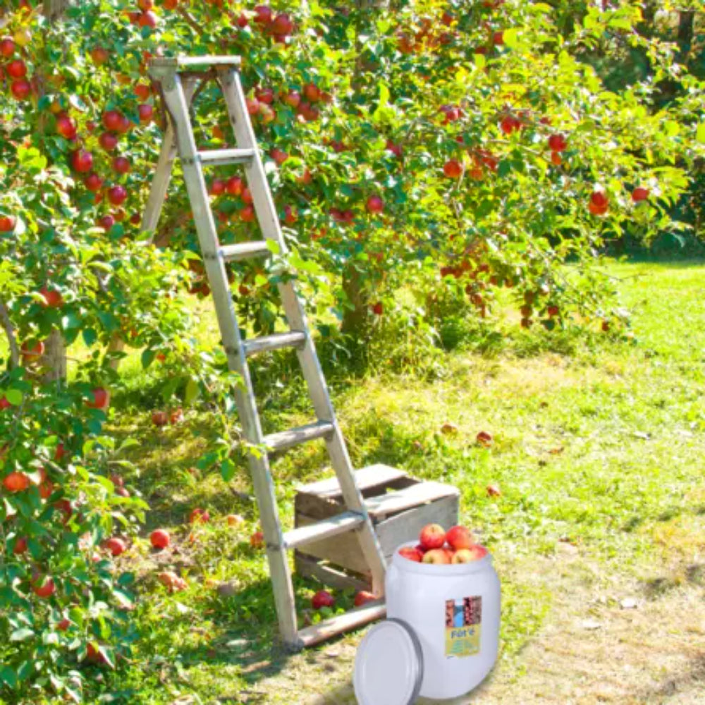 EDA Fût multi-usage Naturel 50 L FÛT'É Antichoc - cadenassable - étanche Certifié contact alimentaire Dim.: 36 x 36 x 53 cm
