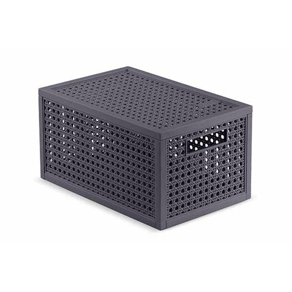 CURVER Boîte KAYA 7L 31.3 x 19.7 x 6.5 cm