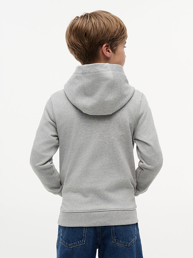 Tommy Hilfiger Sweat à capuche basique Gris 8