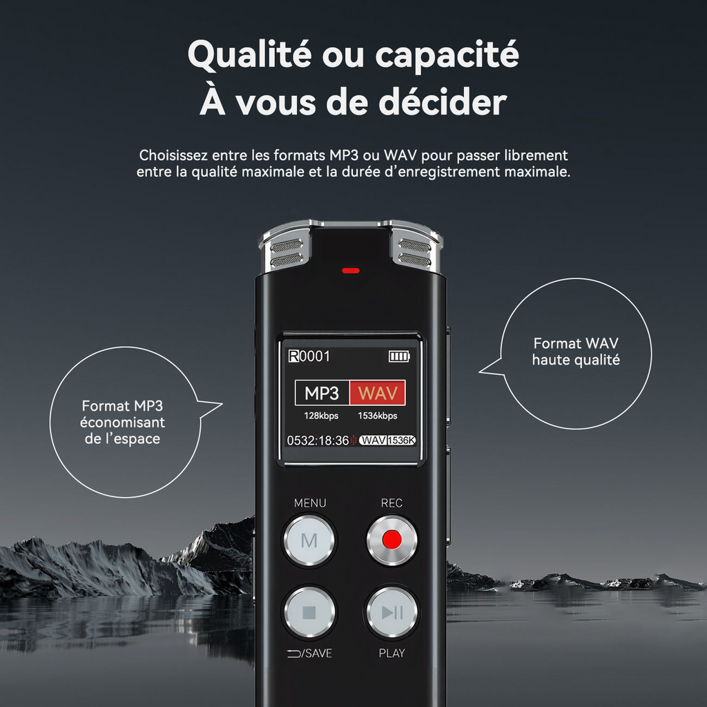Rexsun Enregistreur vocal numérique portable 128 Go avec écran LCD, Réduction intelligente du bruit, ABS et alliage d’aluminium, Gris, L357