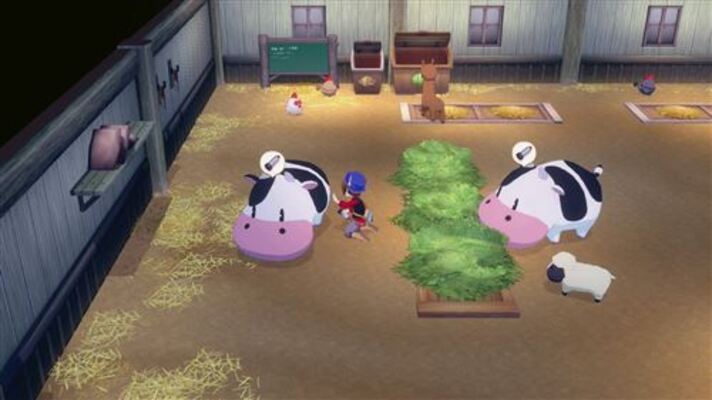 Story of seasons grand bazaar - switch - version française