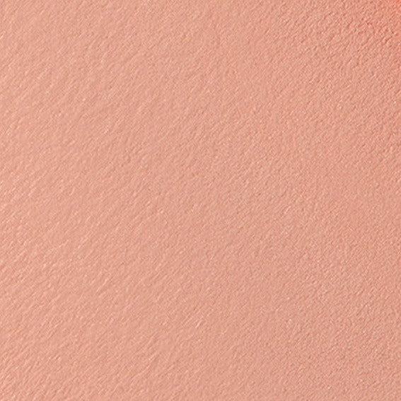 NARS Blush New Version #FORBIDDEN 4.8g
