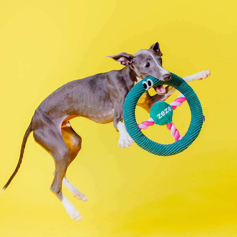 ZEZE Jouet à mâcher avec effets sonores en forme de volant vert foncé pour chiens - 23 x 23 x 3,5 cm
