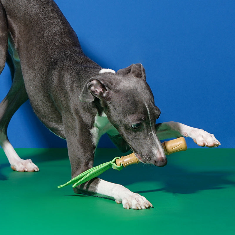 ZEZE Jouet à mâcher en bambou pour chien - interactif, nettoyage dentaire, design bambou 22 x 5,5 x 2,5 cm - sans éclats