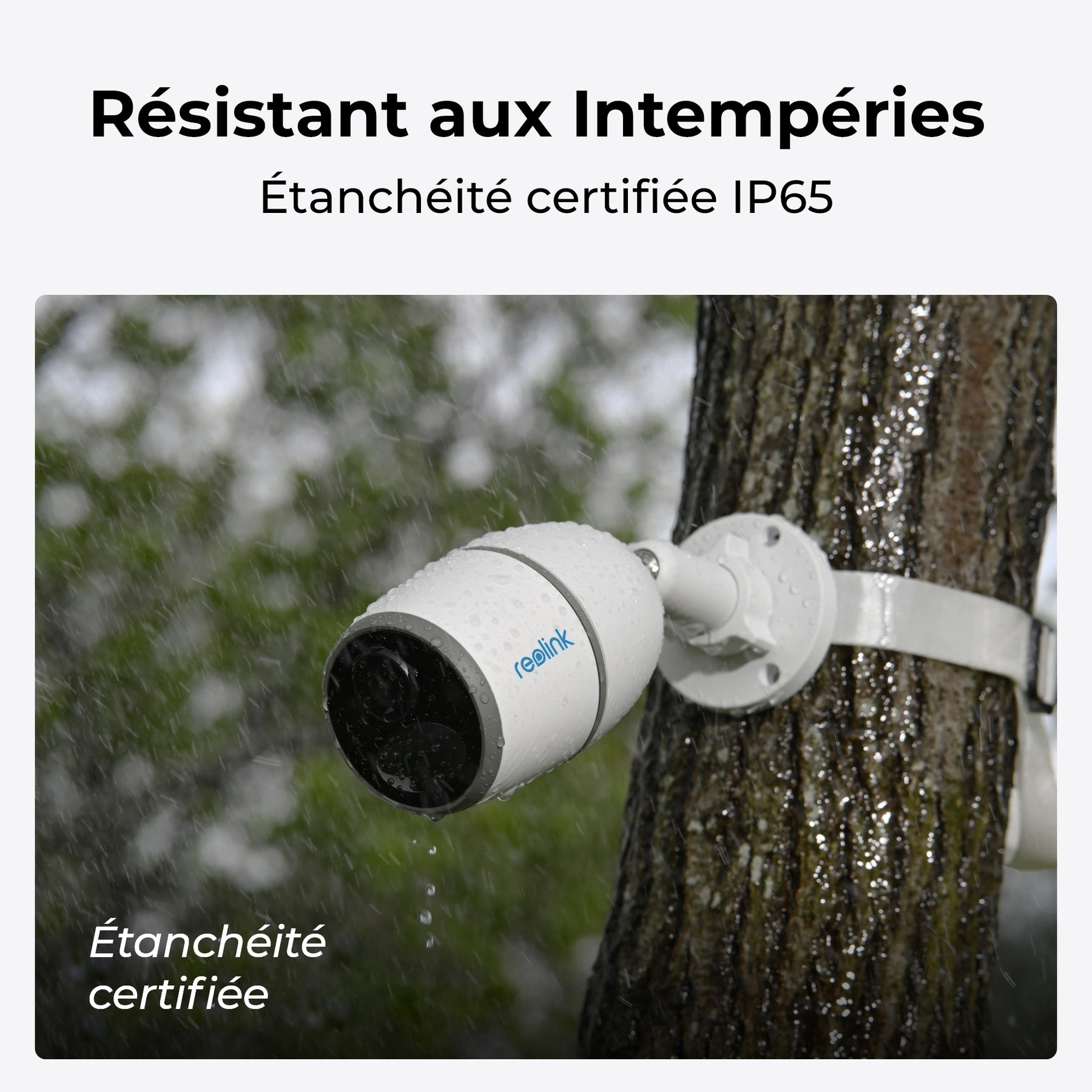 REOLINK GO SERIES G330 Caméra Solaire 4G 4MP 2K avec Carte SIM, LTE, Panneau Solaire Inclus, Vision Nocturne, Détection IA Personne/Véhicule, Audio Bidirectionnel, IP65 étanche, Compatible Alexa