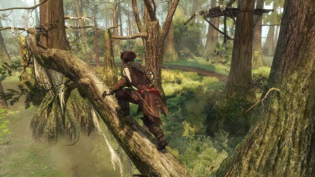Assassin’s Creed III + Assassin’s Creed Liberation Remasterisés - Tous les DLC solo inclus - Code de téléchargement - Switch - Version Française