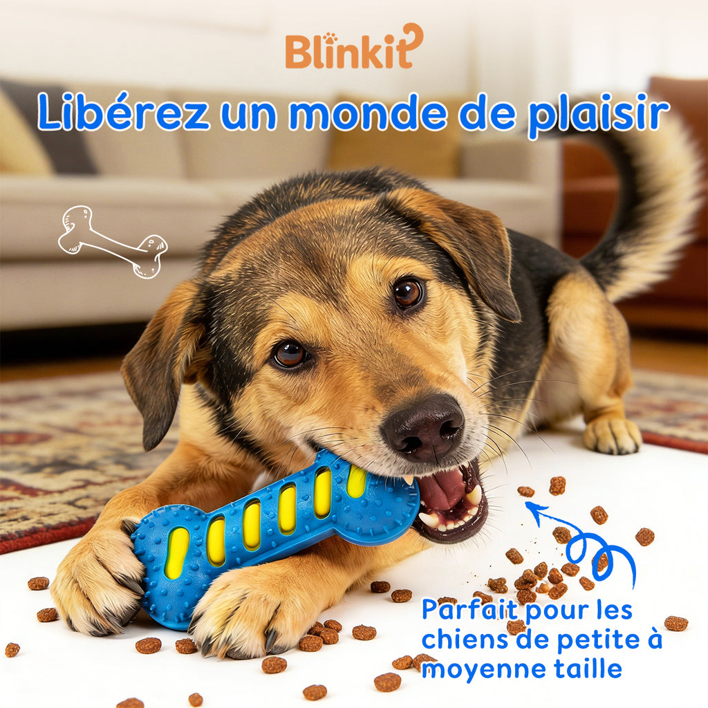 BLINKIT Jouet sonore os en TPR et PVC pour petits et moyens chiens
