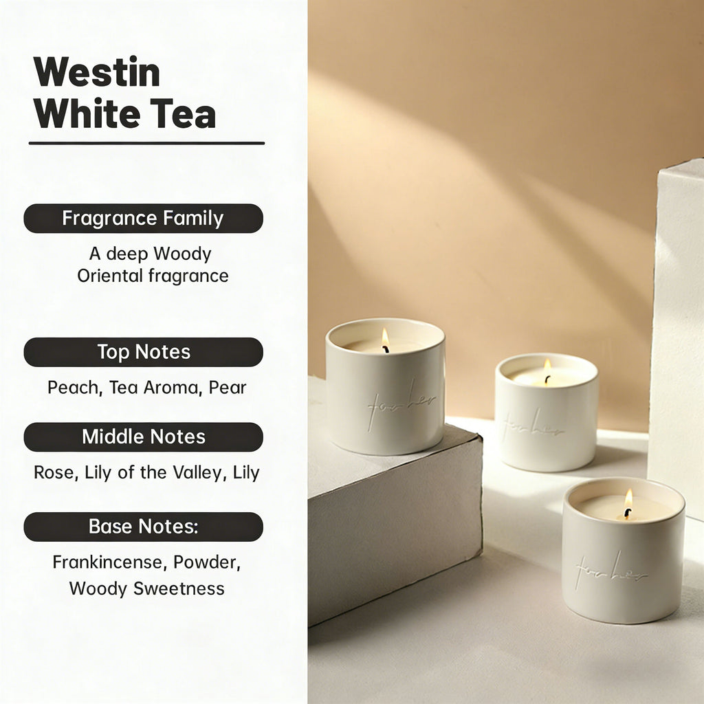 ZOOLY Bougie parfumée avec pot en céramique Dongyang 250 g - Thé blanc Westin