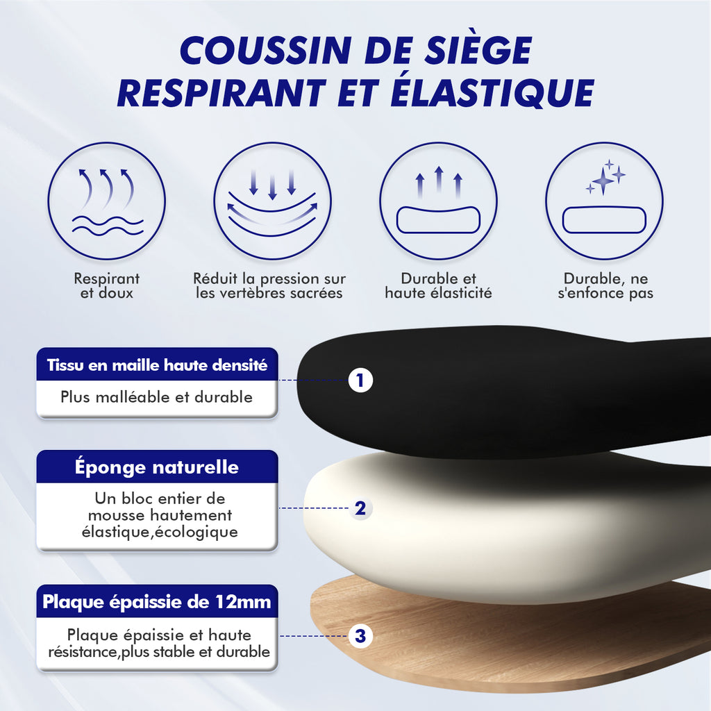 GTIMEX Chaise de bureau ergonomique, chaise de bureau, chaise de bureau avec accoudoirs réglables, soutien lombaire souple en éponge naturelle et appui-tête, chaise de direction