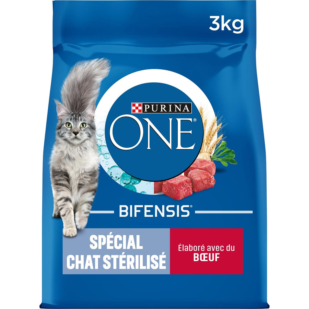Purina ONE Complete Croquettes pour Chat Adulte, Saveur Bœuf, Sachet de 3 kg