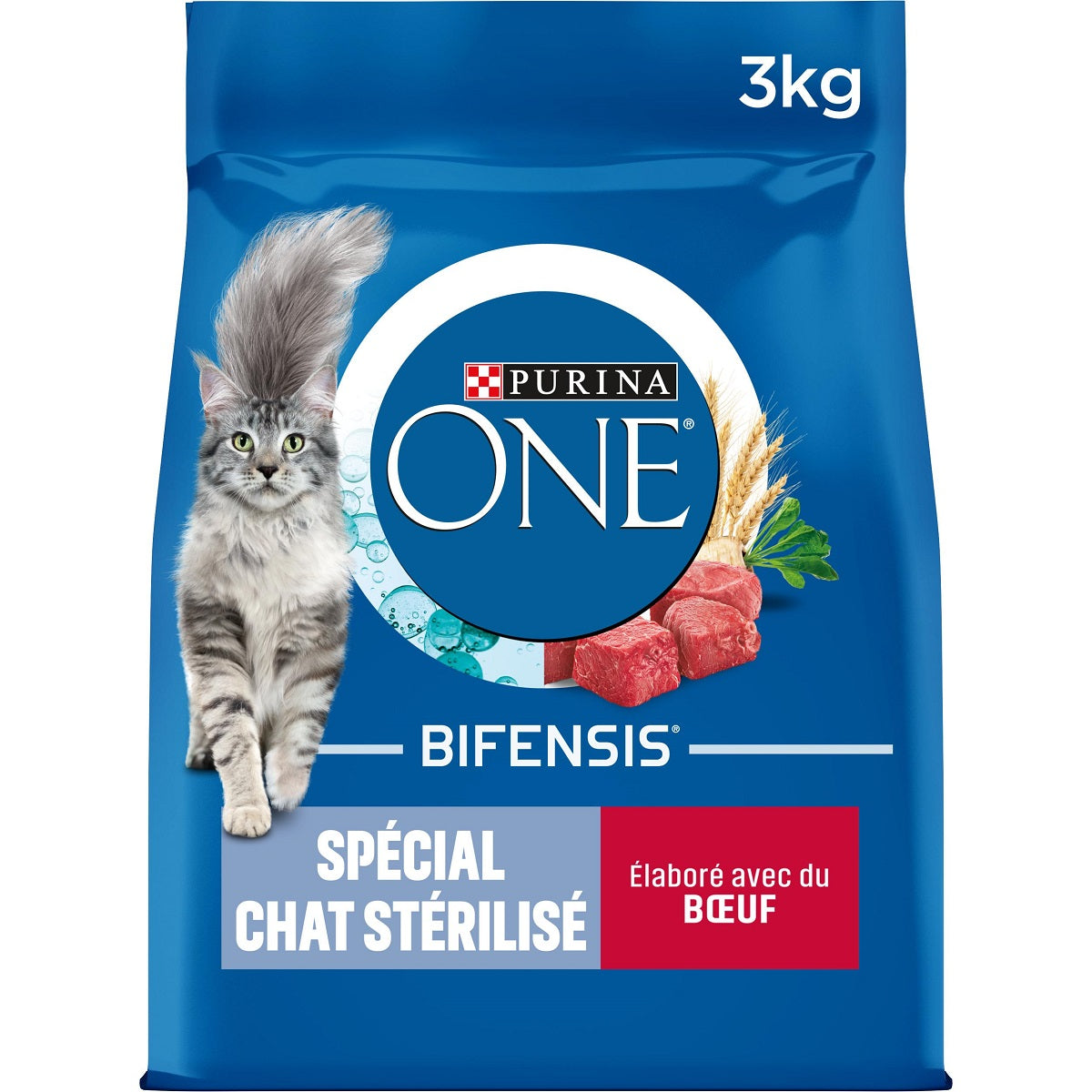Purina ONE Complete Croquettes pour Chat Adulte, Saveur Bœuf, Sachet de 3 kg
