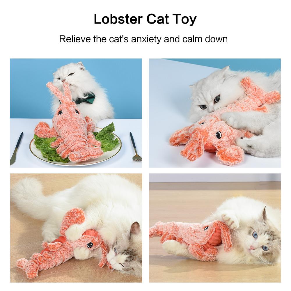 Petgravity Jouet interactif homard culbuto pour chat, Recharge USB-C, Peluche, Bébé animal de compagnie