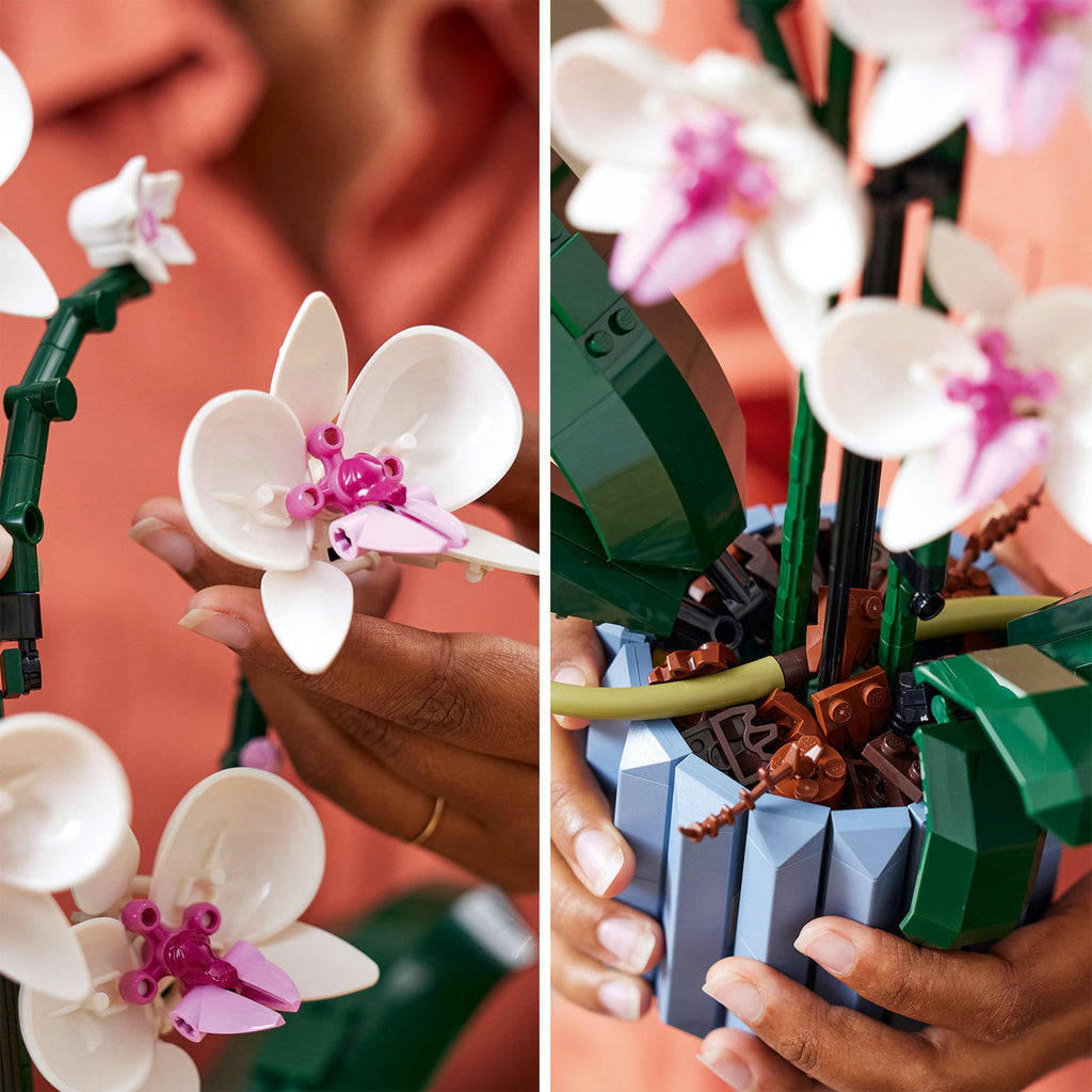 LEGO 10311 Icons L’orchidée Plantes d’intérieur artificielles avec fleurs pour décoration de la maison, Loisirs créatifs pour adultes, Collection botanique