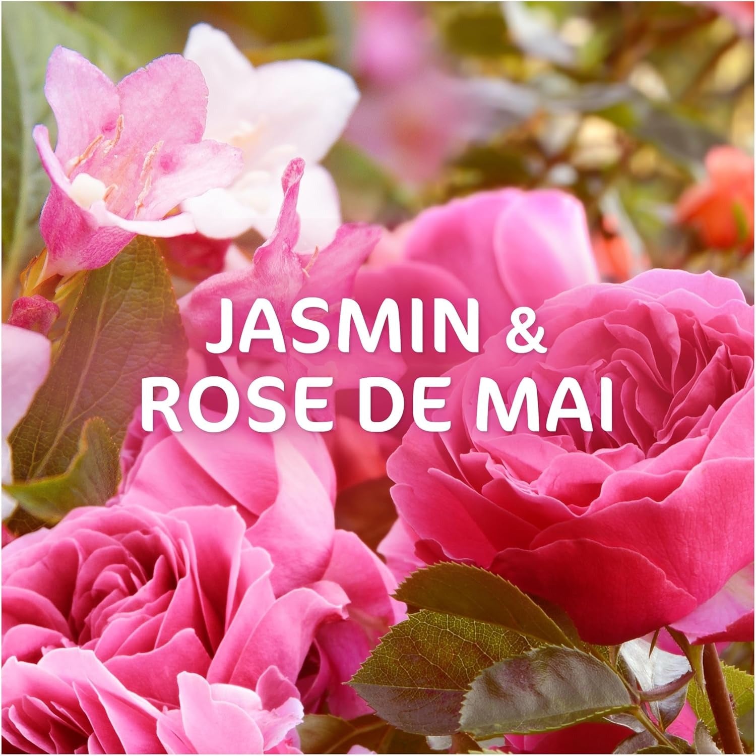 DASH Lessive Liquide 2en1 Jasmin et Rose de Mai 1.98L
