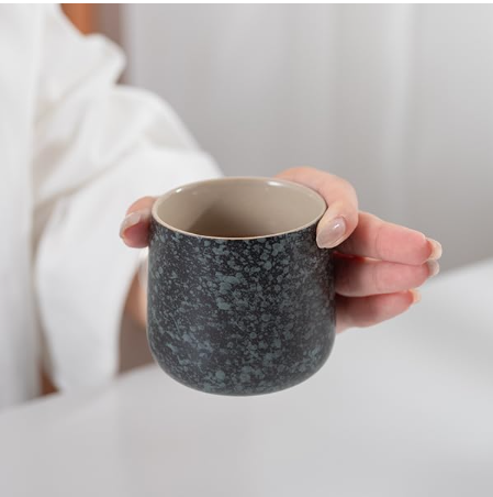 TEANAGOO Tasse à Thé Japonaise en Céramique, 7.2 oz/205 ml, Gris Charbon, H17, 4 Pièces/Boîte, Set de Tasses à Thé Asiatiques, Soldes du Nouvel An, Idées Cadeaux Incontournables