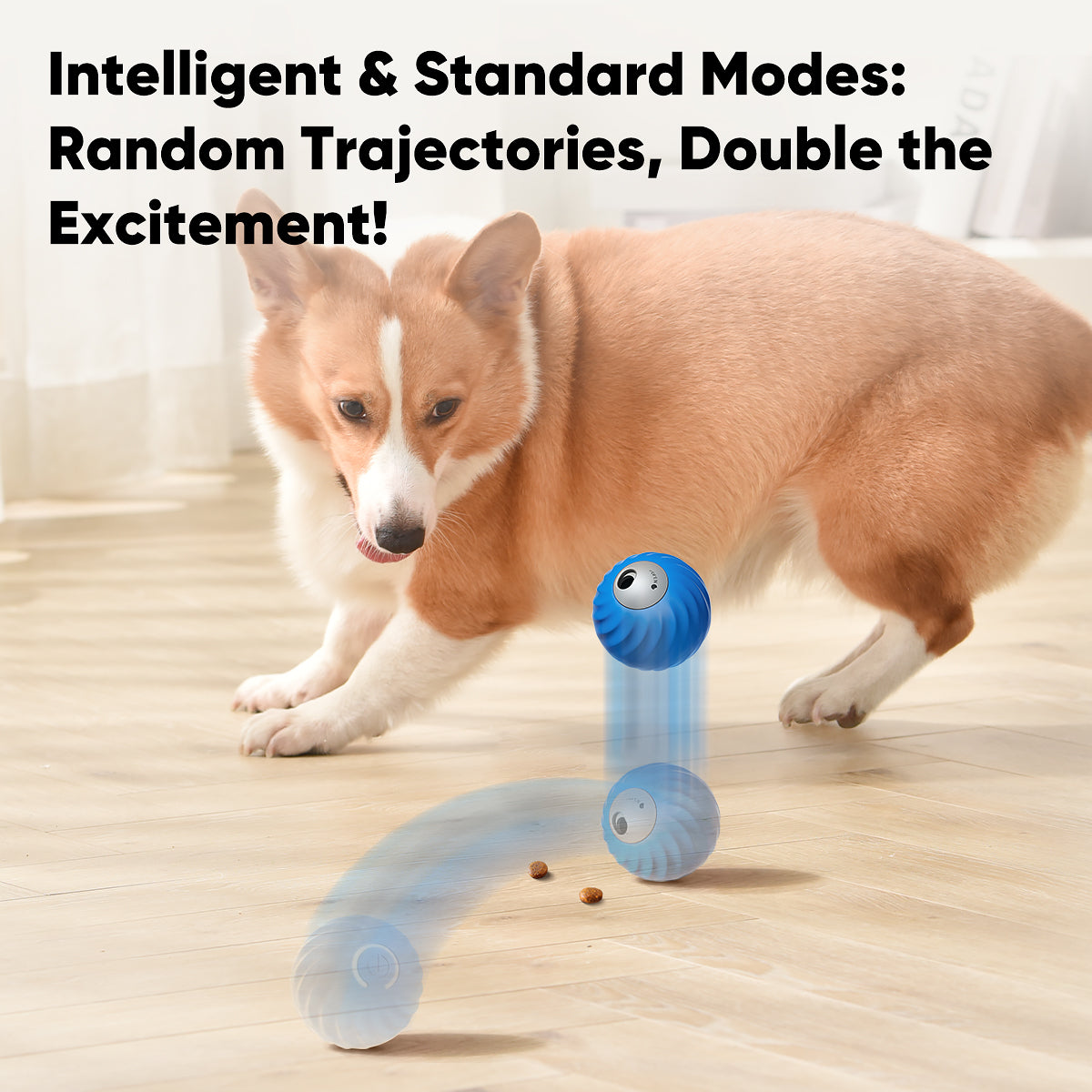 Petgravity Snack Shack Ball - Jouet interactif rebondissant, 72 mm, Bleu