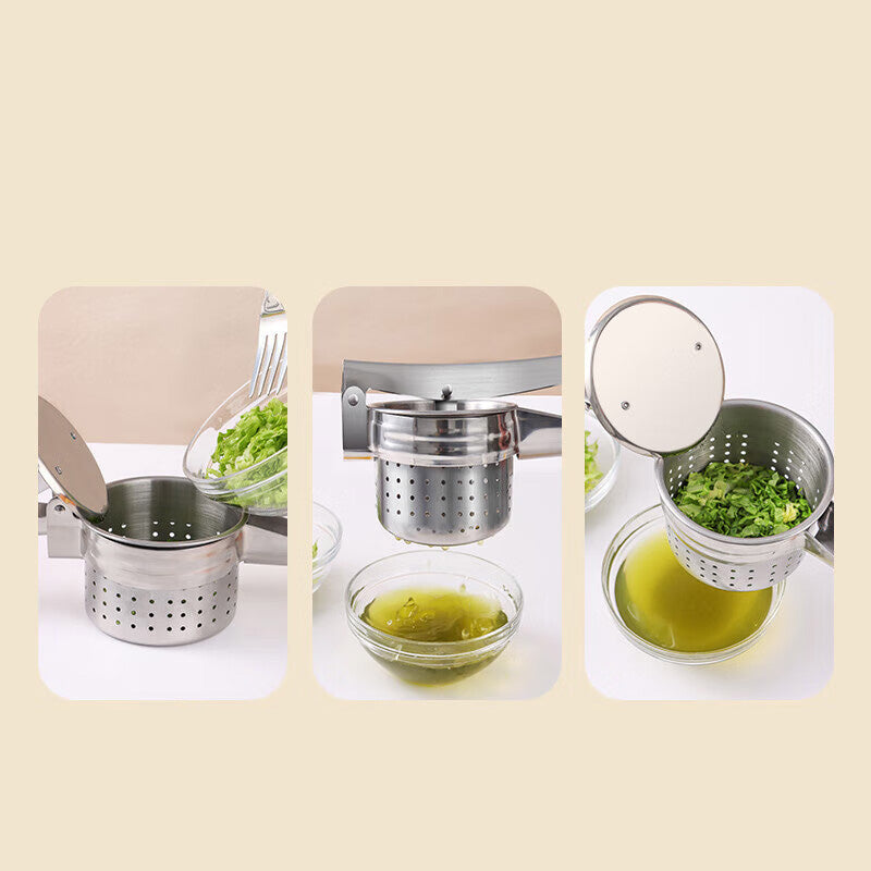BJ Extracteur de Jus en Acier Inoxydable