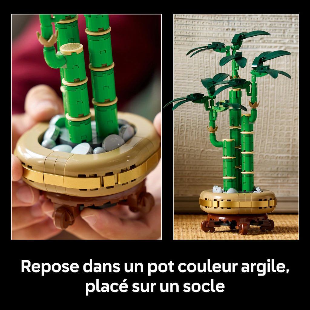 LEGO Botanicals 10344 Le bambou de la chance