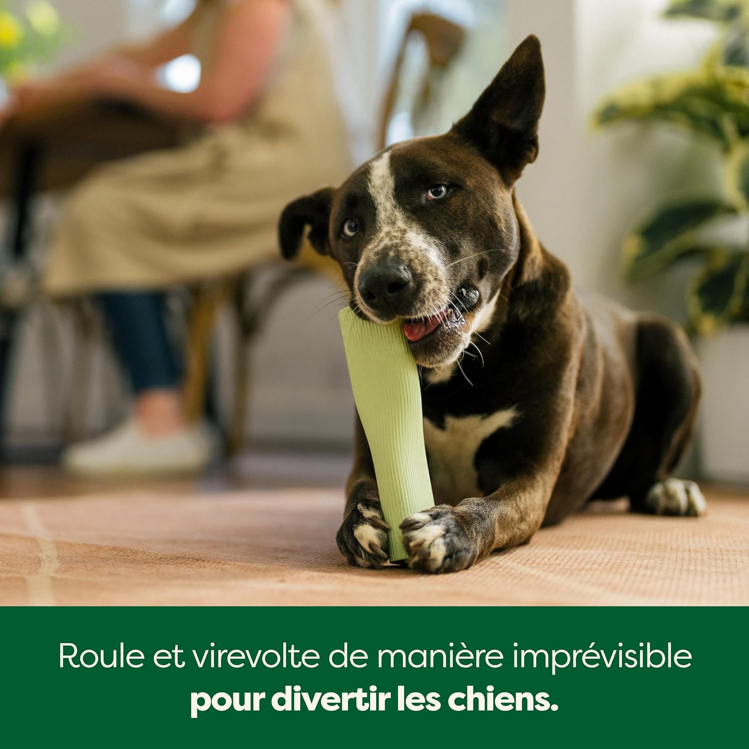 EARTH RATED Jouet d'enrichissement pour chiens adultes et chiots - Vert - Taille S