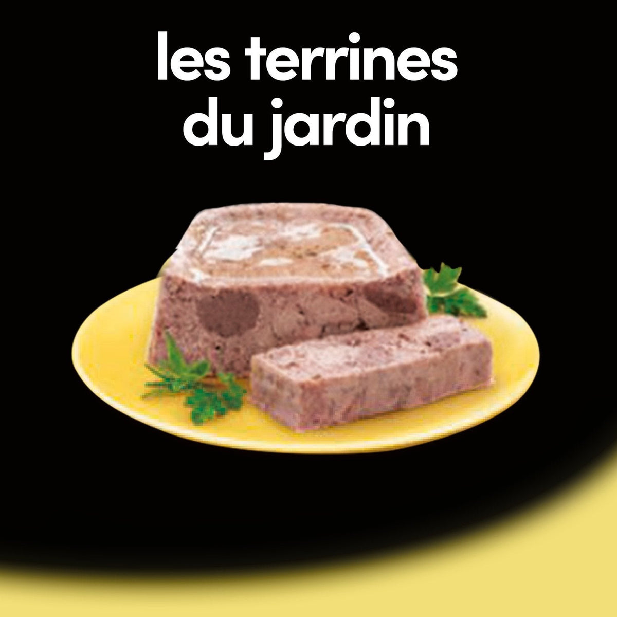 Cesar aliment chien terrine classique poulet1 barq 300 gr