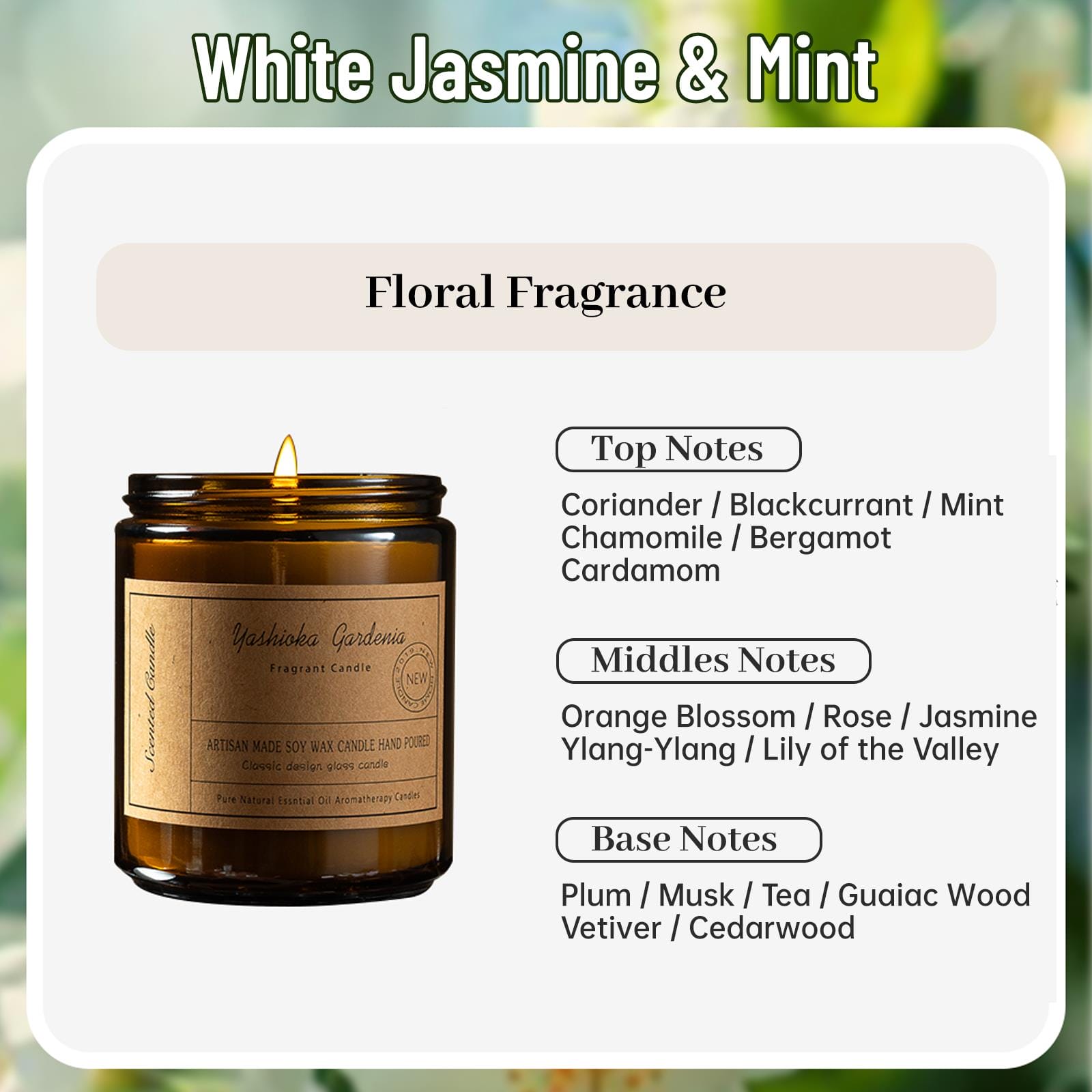 Zooly Bougie parfumée en pot crème avec couvercle argenté - Jasmin blanc et menthe, 200 g, 1 pc