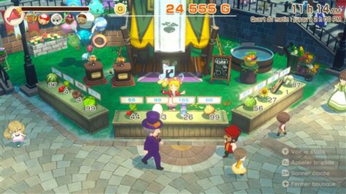 Story of seasons grand bazaar - switch - version française