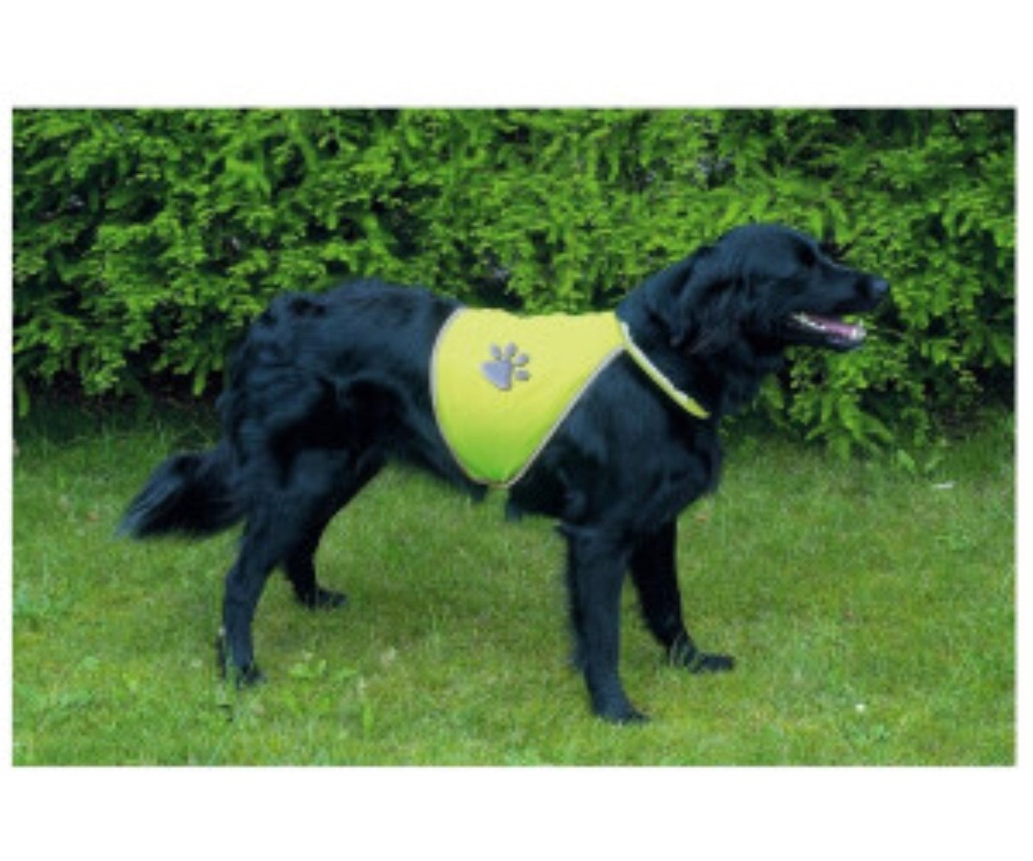 Trixie Veste de sécurité réfléchissante pour chien, taille M