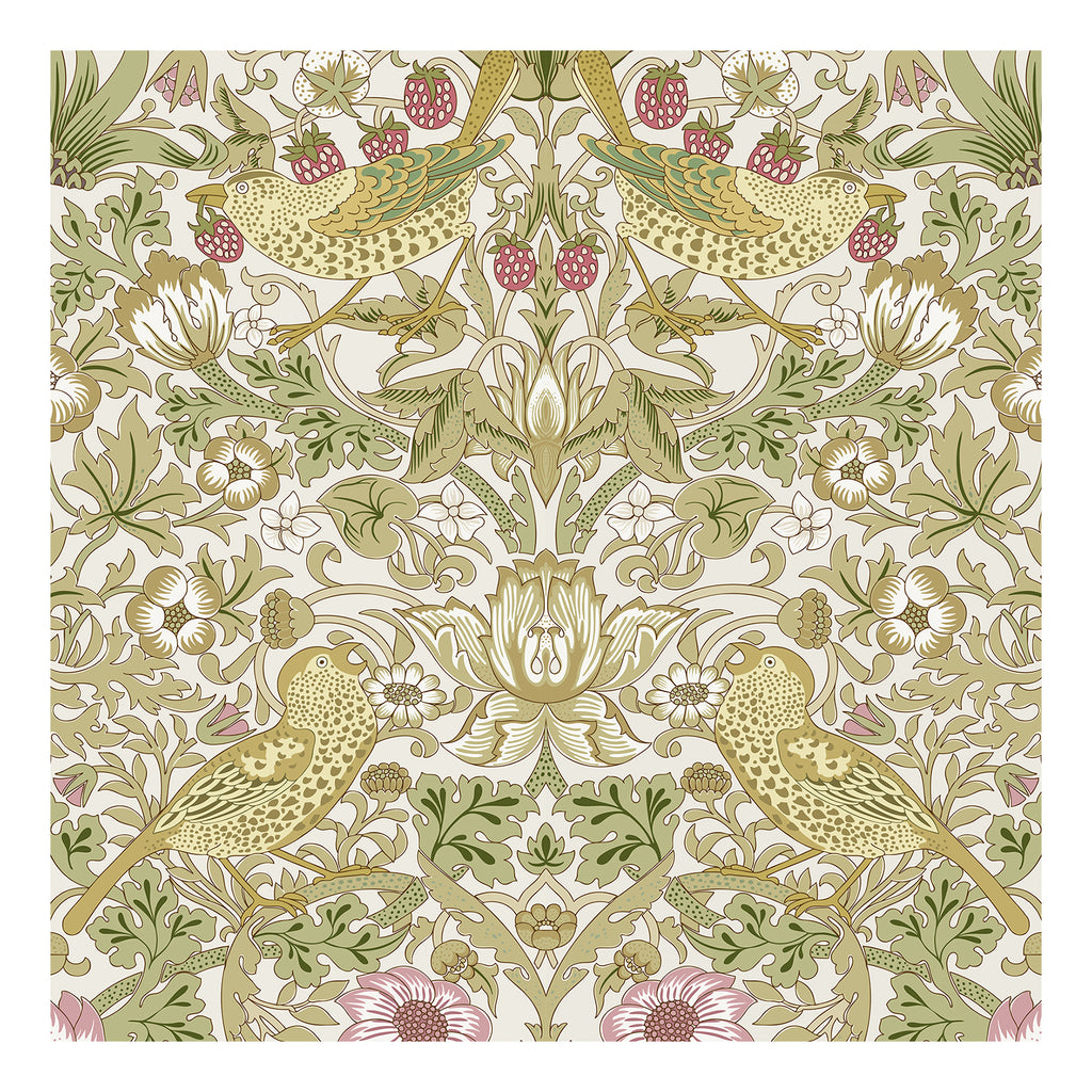 Papier Peint Autocollant Murgall Motif Oiseaux et Fraises Blanc 44x508cm 1 Rouleau