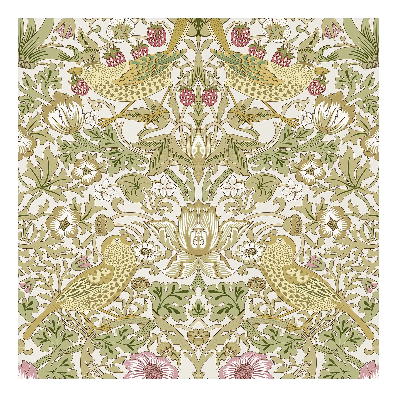 Papier Peint Autocollant Murgall Motif Oiseaux et Fraises Blanc 44x508cm 1 Rouleau