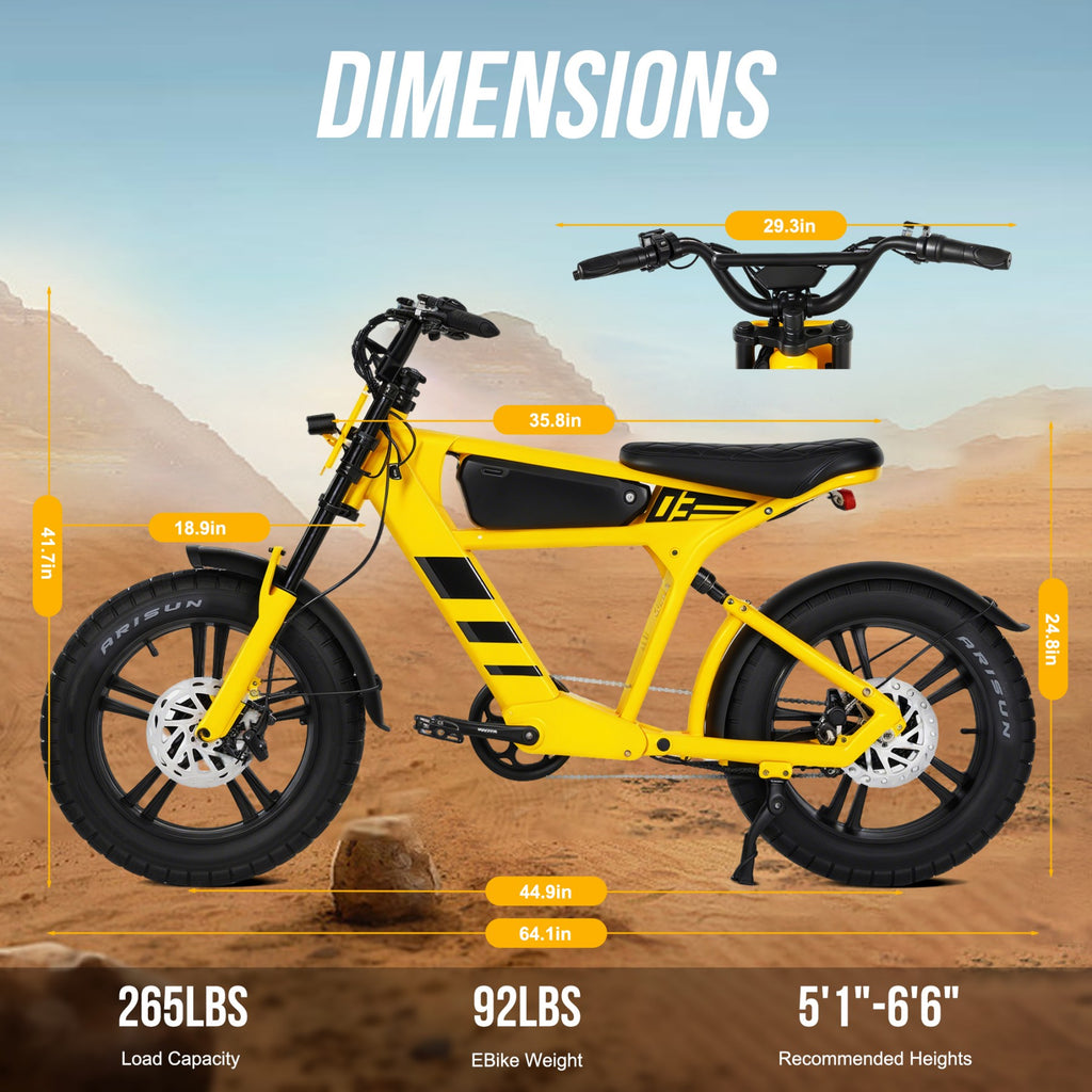 Mangosteen FT03 Vélo électrique 250W avec batterie au lithium 48V 18,2Ah amovible, 25 km/h, autonomie 75 km, pneus larges 20 x 4,5 pouces