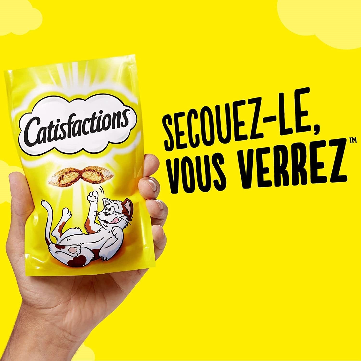 Catisfactions friandises au saumon pour chats et chatons - 60 g