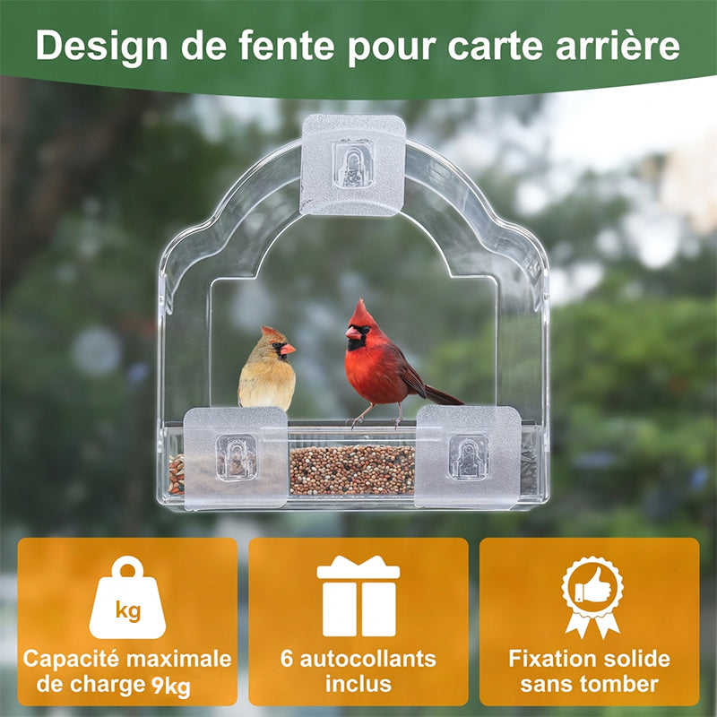 Blinkit Mangeoire en acrylique avec ventouse pour fenêtre, Design transparent, 6 ventouses solides, Gouttières élargies imperméables, Observation des oiseaux à la fenêtre, Noir/Blanc/Gris