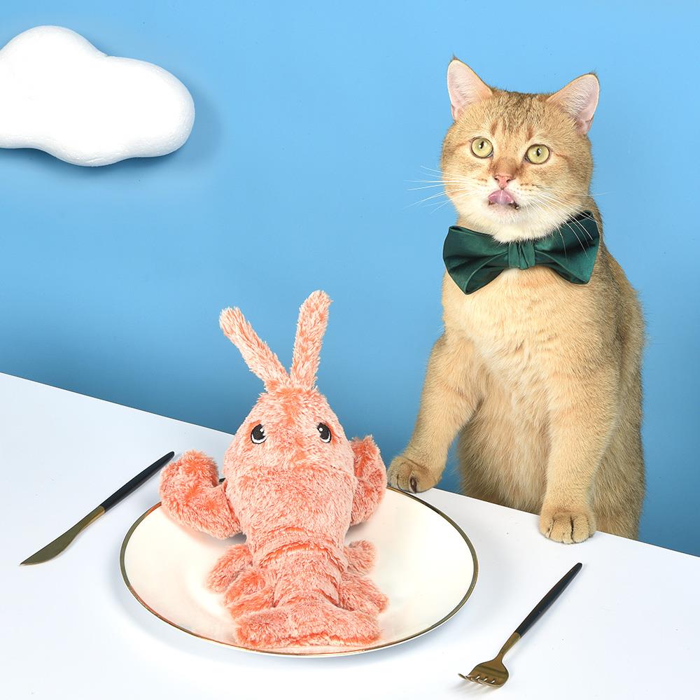 Petgravity Jouet interactif homard culbuto pour chat, Recharge USB-C, Peluche, Bébé animal de compagnie