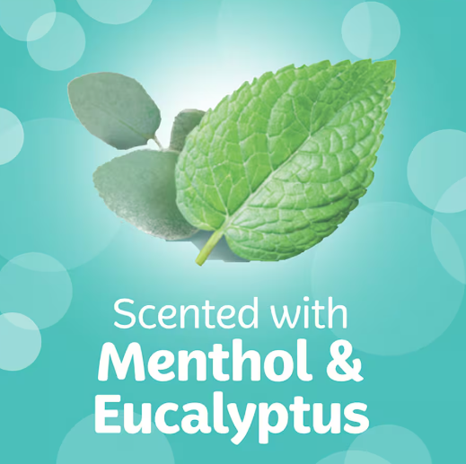 LOTUS Mouchoirs en Papier Menthol et Eucalyptol, 15 Étuis, 135 Mouchoirs