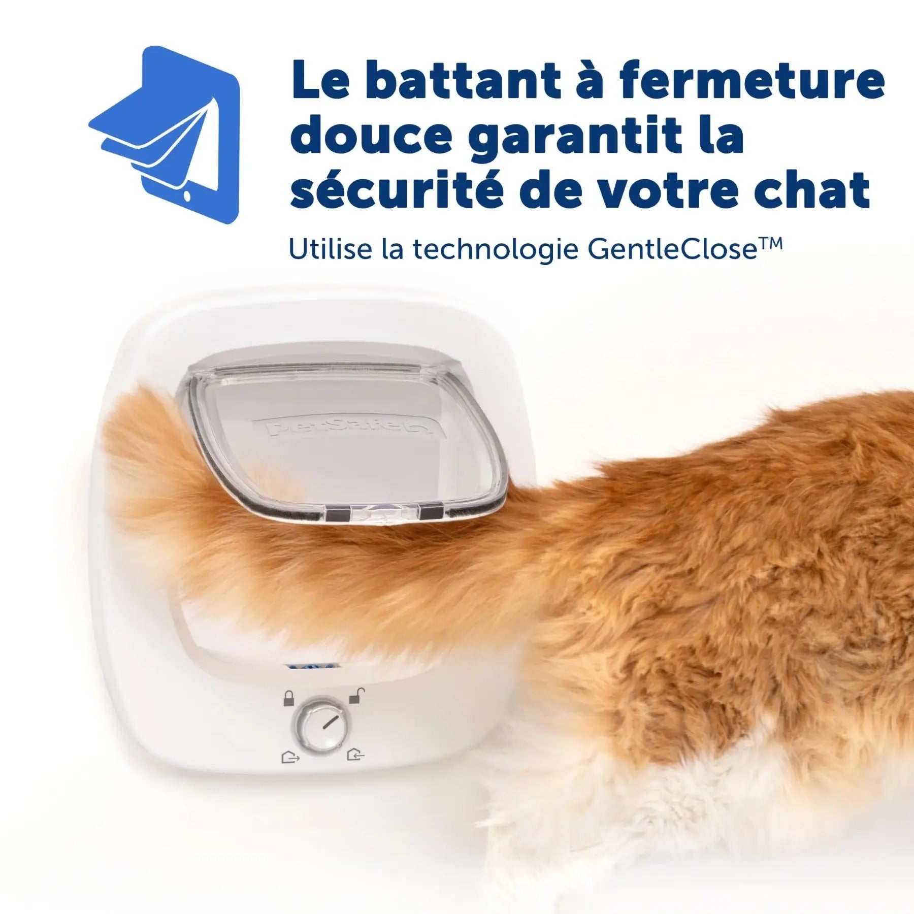 Petsafe adaptateur chatière grands chats, fixation verre