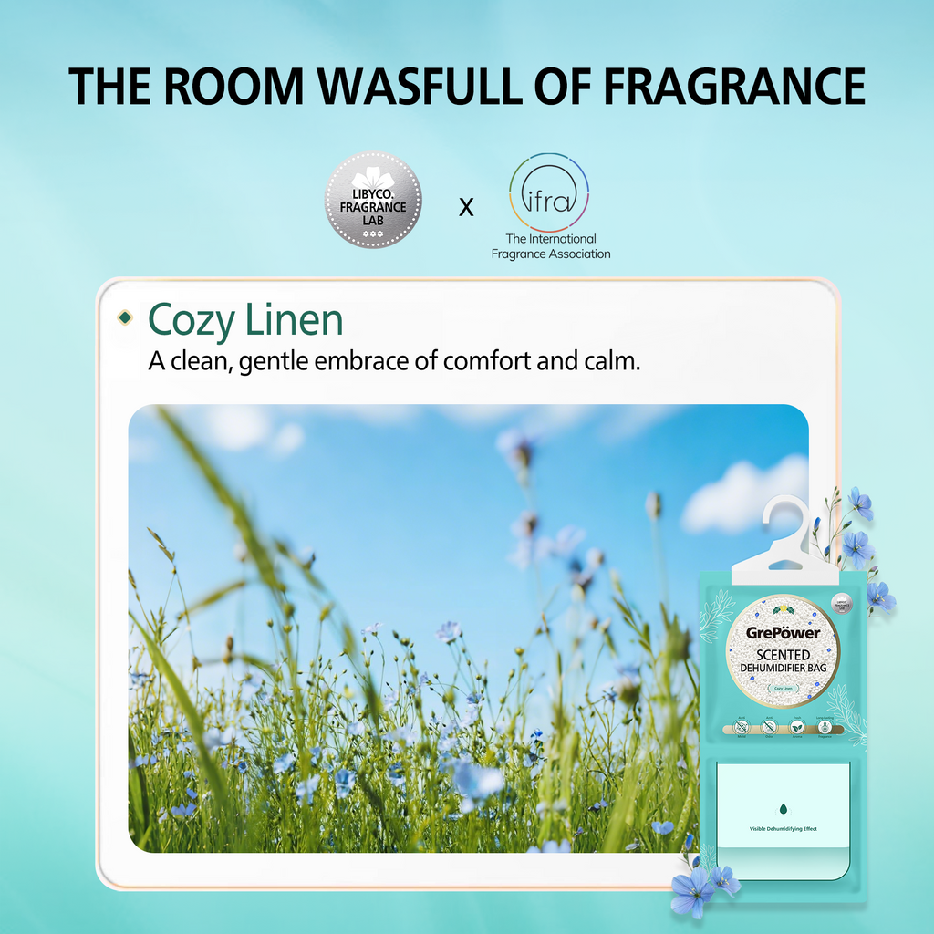 GrePower Sachets déshumidifiants au parfum de lin, lot de 10, anti-humidité et anti-condensation, absorption d'humidité ultra-forte, déshumidification rapide, pour placards, maison