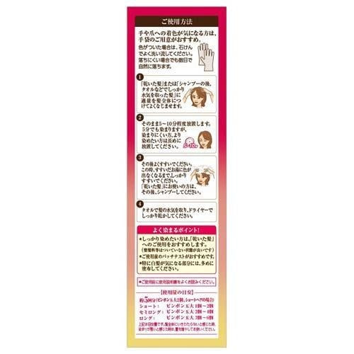ROHTO MEGUMII Traitement de Couleur pour le Cuir Chevelu Anti-Cheveux – Noir 150g
