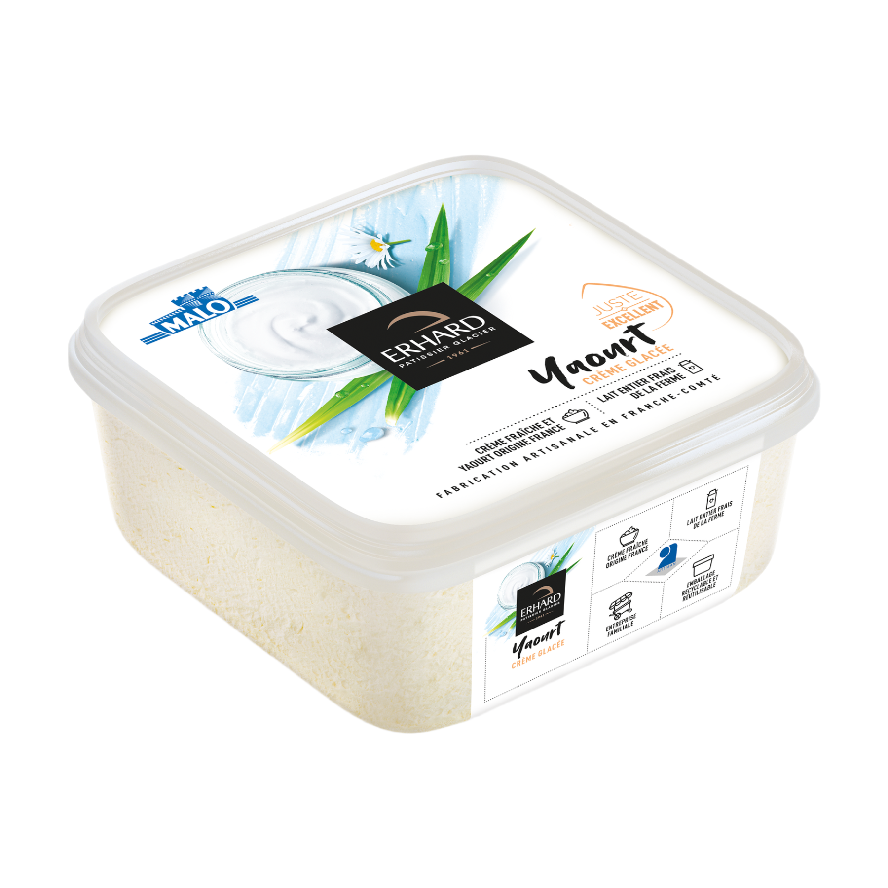 ERHARD Crème glacée Yaourt - 450 g