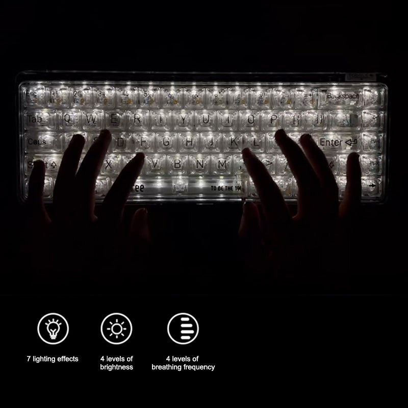 Clavier mécanique Lofree OE907 à 65 %, disposition QWERTY US, interrupteurs Jellyfish, 68 touches transparentes, double mode Bluetooth 5.1/Filaire, rétroéclairage blanc, clavier de jeu pour Mac/Windows/Android