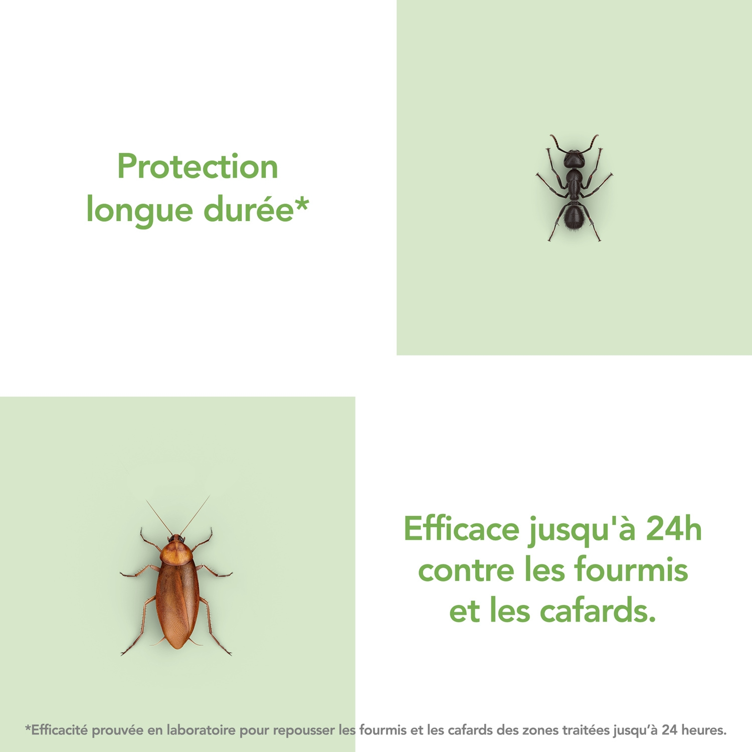 Raid Aérosol Anti-Rampants Fourmis & Cafards Base d'eau sans Parfum 300 ml