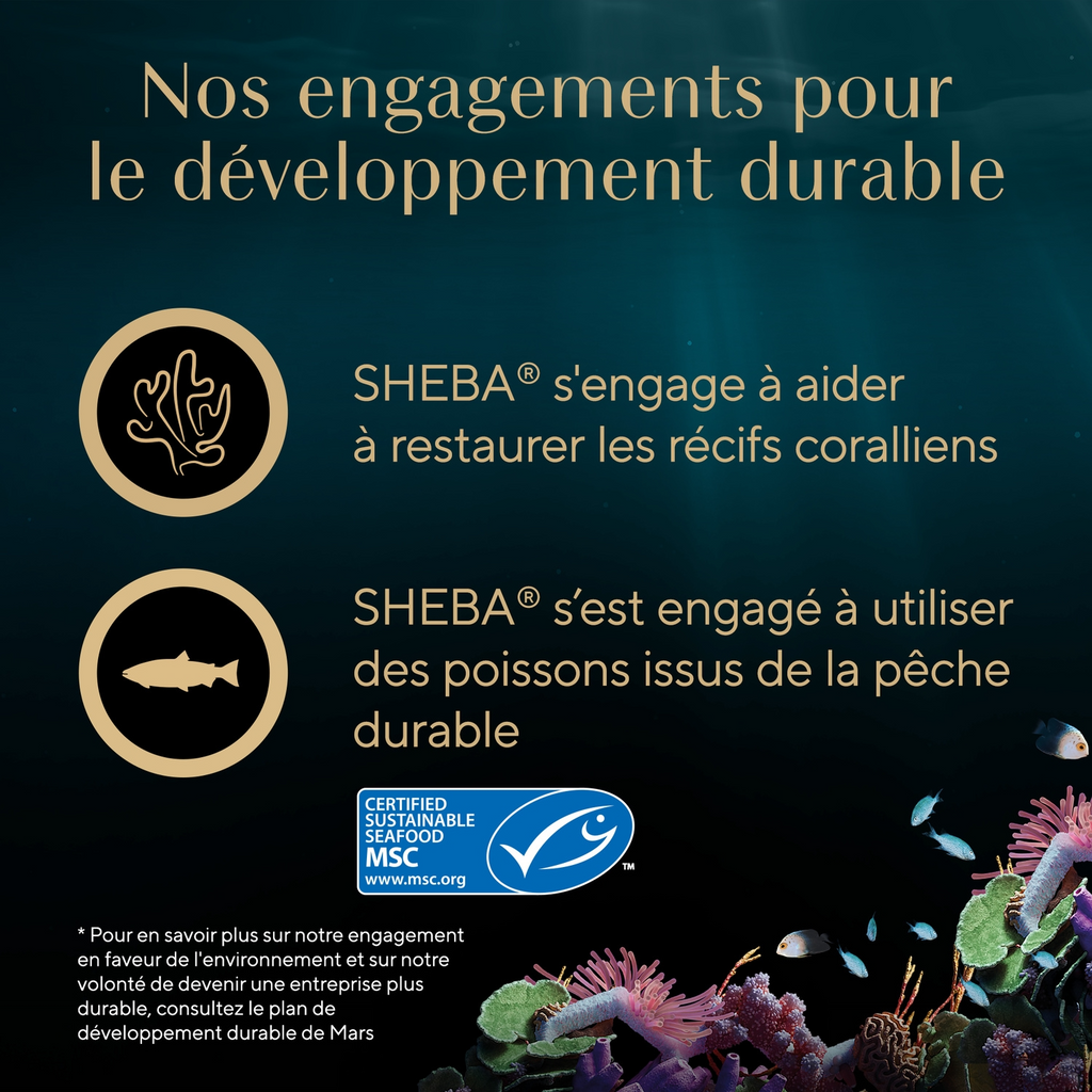 Sheba Friandises pour chat au poulet, aux crevettes et aux filets de poisson de l'océan - 60 g