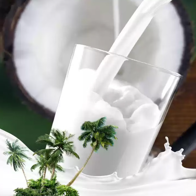 Coconut Palm Boisson à la noix de coco - 245 ml