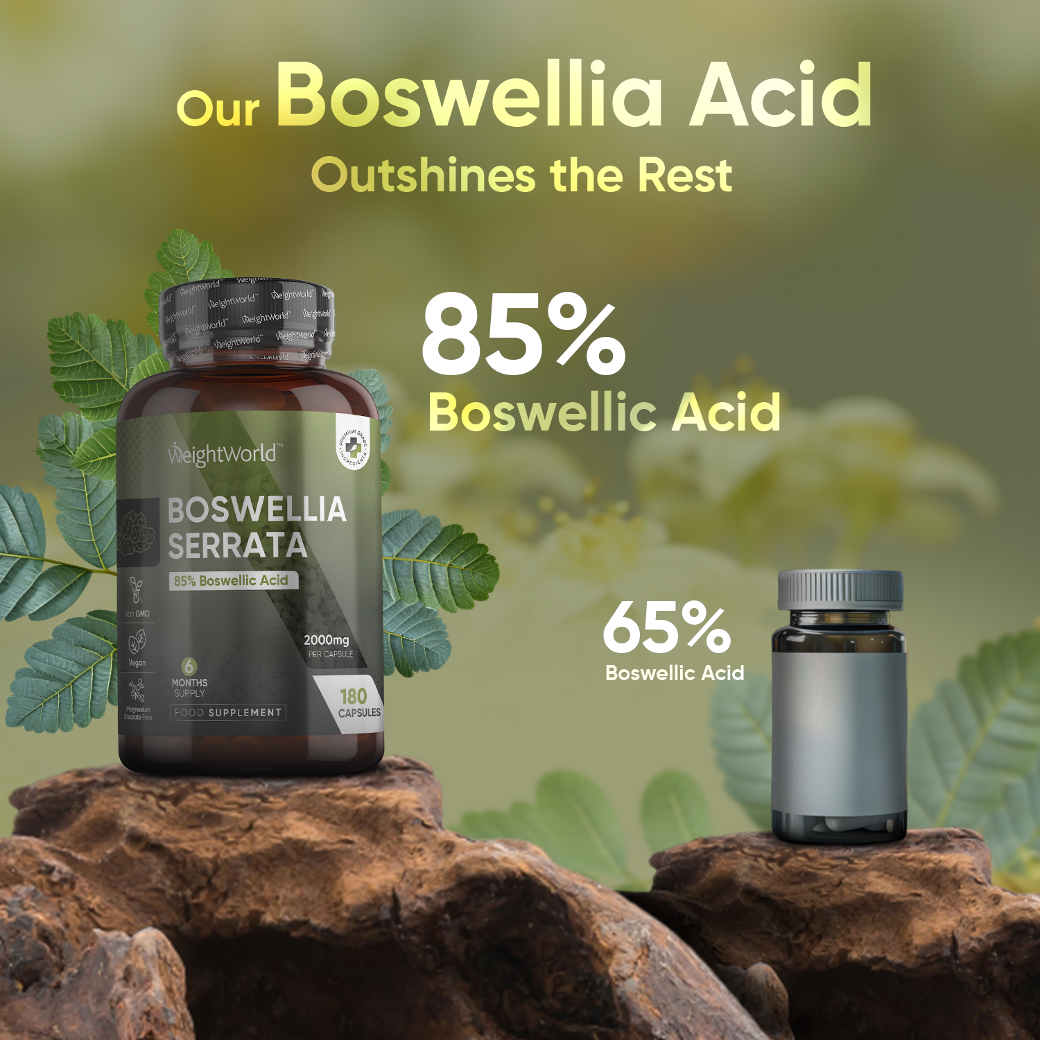 WeightWorld Boswellia Serretta 2000 mg 180 gélules