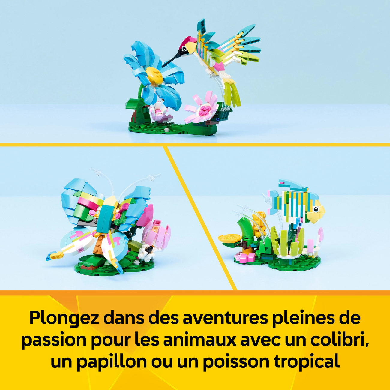 LEGO Creator 31384 Animaux sauvages : le colibri coloré