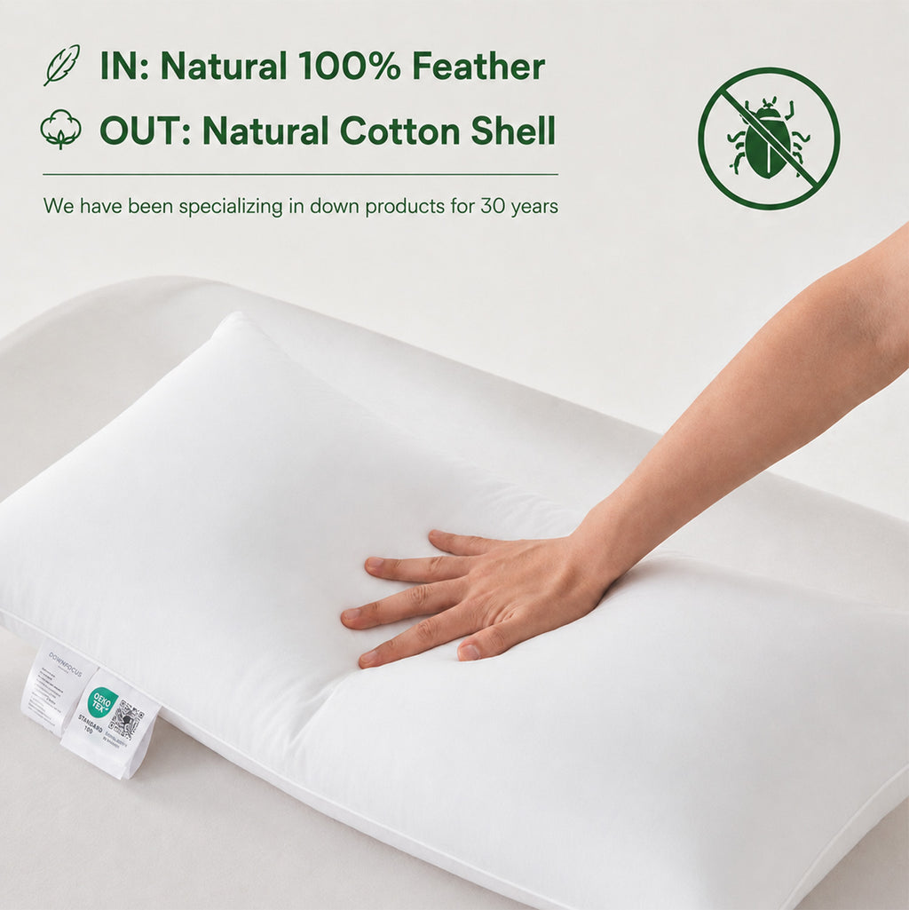 DOWNFOCUS Oreillers de lit en plumes 100 % avec housse en coton 100 %, blanc, design classique, garnissage en plumes 1200 g, inserts d'oreiller standard et doux, 65 x 65 cm, lot de 2