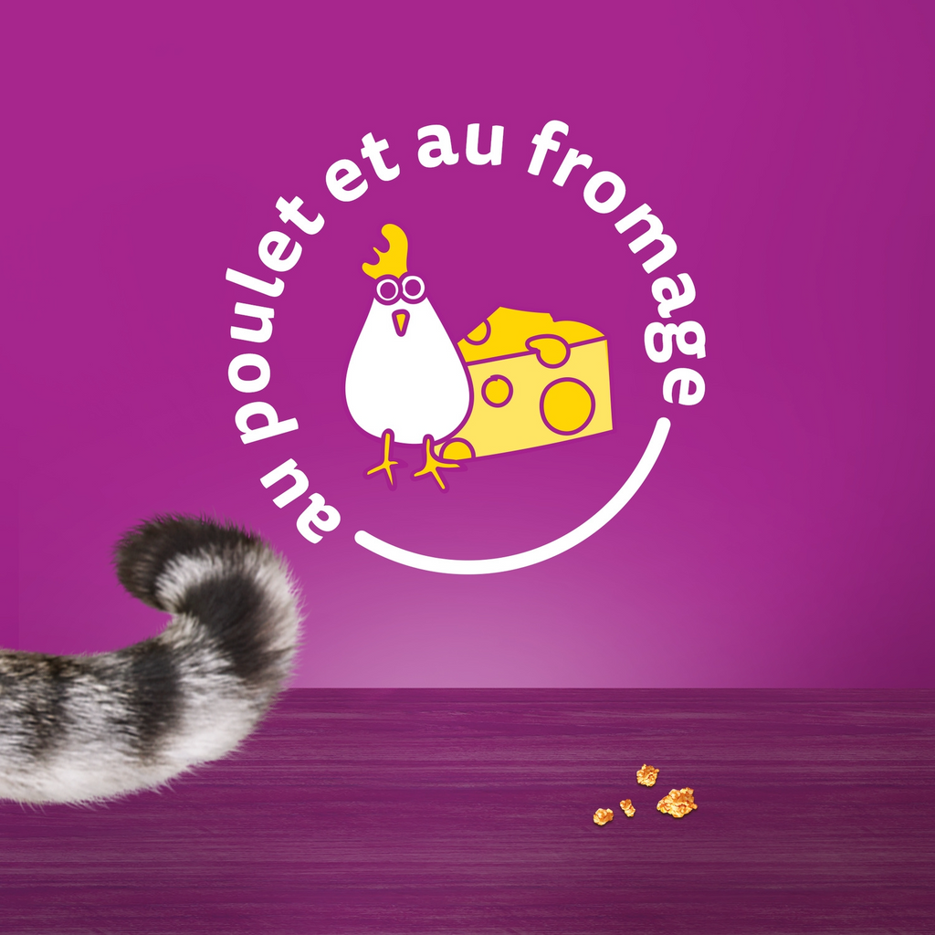 Whiskas Temptations friandises pour chat adulte au poulet et au fromage - 60 g