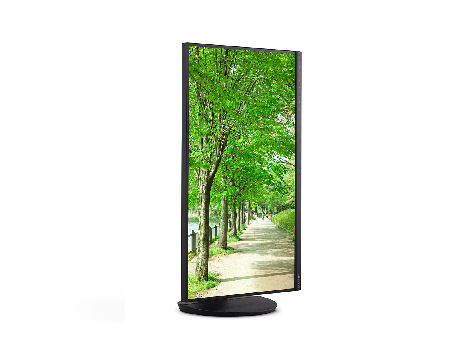 Sharp MultiSync 60006064 écran plat de PC 68,6 cm (27") 3840 x 2160 pixels 4K Ultra HD LCD Noir