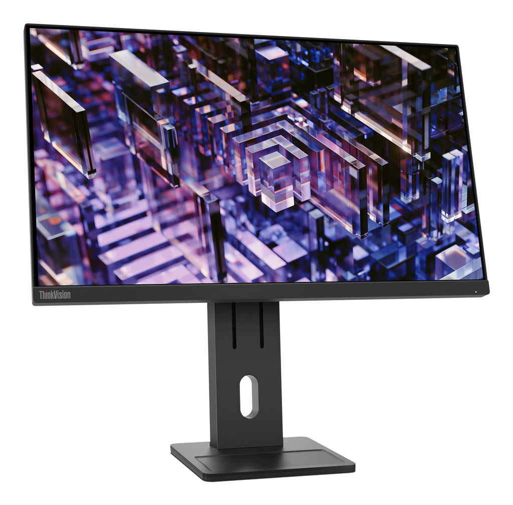 Lenovo ThinkVision E24q-30 Moniteur