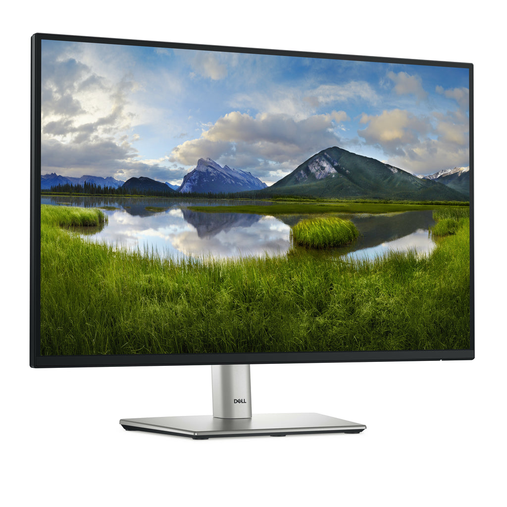 DELL Pro Plus P2425E écran plat de PC 61,1 cm (24.1") 1920 x 1200 pixels WUXGA LCD Noir