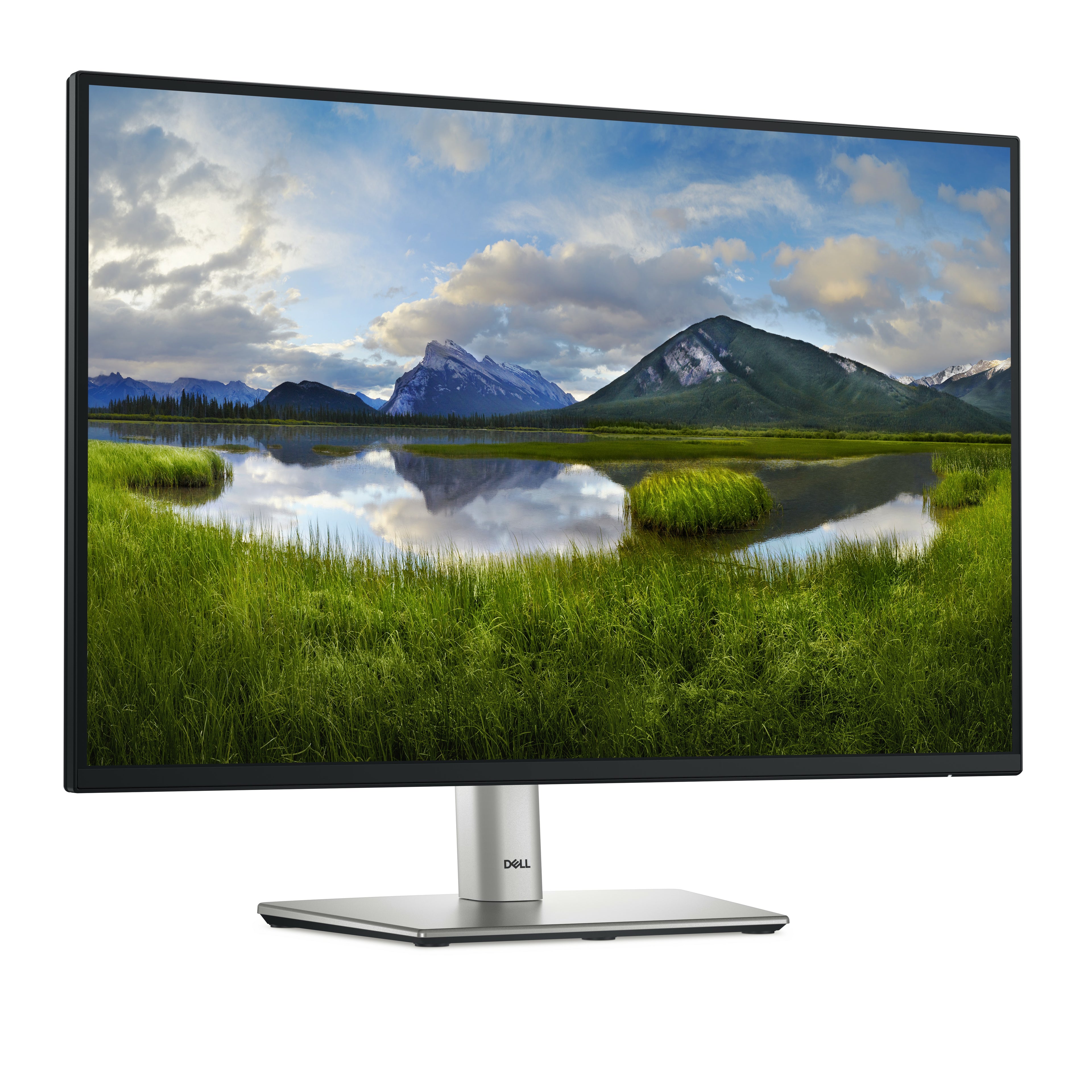 DELL Pro Plus P2425E écran plat de PC 61,1 cm (24.1") 1920 x 1200 pixels WUXGA LCD Noir